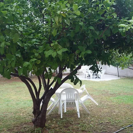 מלון Pinus אנטליה
