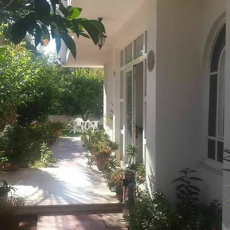 Hotel Pinus Antalia
