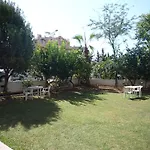 Hotel Pinus