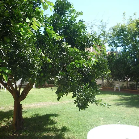 Hotel Pinus Antalya