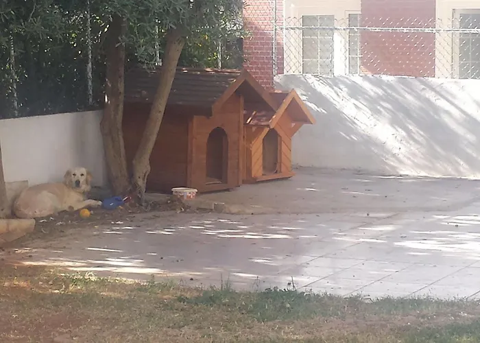Pinus Отель 3*