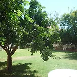 Hotel Pinus Antalya