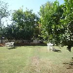Hotel Pinus Antalya