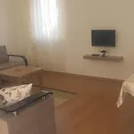 Pinus Antalya