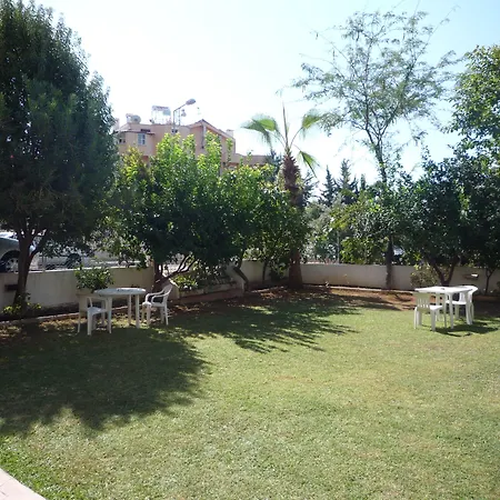 מלון Pinus