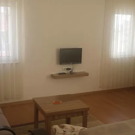Pinus מלון