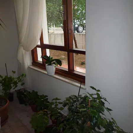 מלון Pinus אנטליה