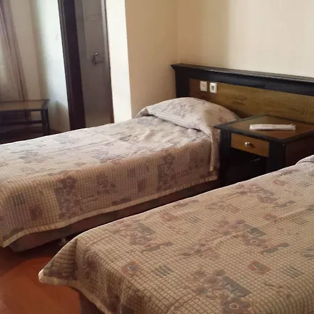 Hotel Pinus