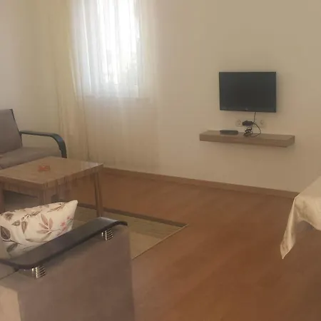 Pinus Antalya