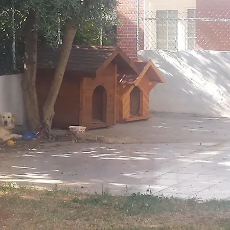 Pinus מלון 3*