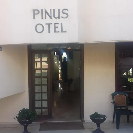 מלון Pinus 3*