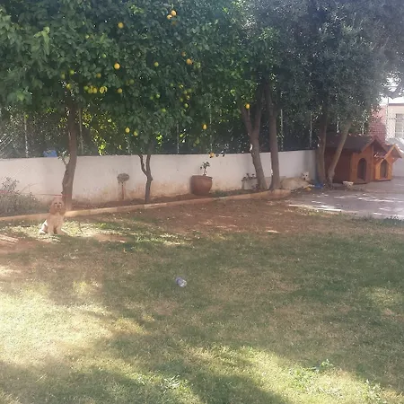 מלון Pinus 3*
