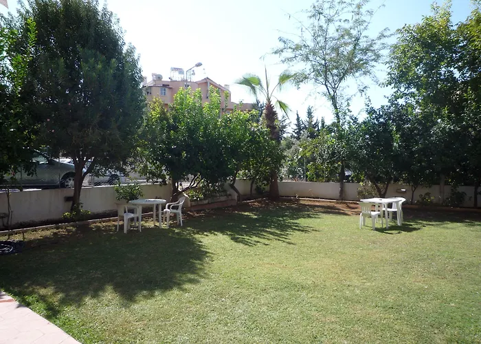 فندق Pinus