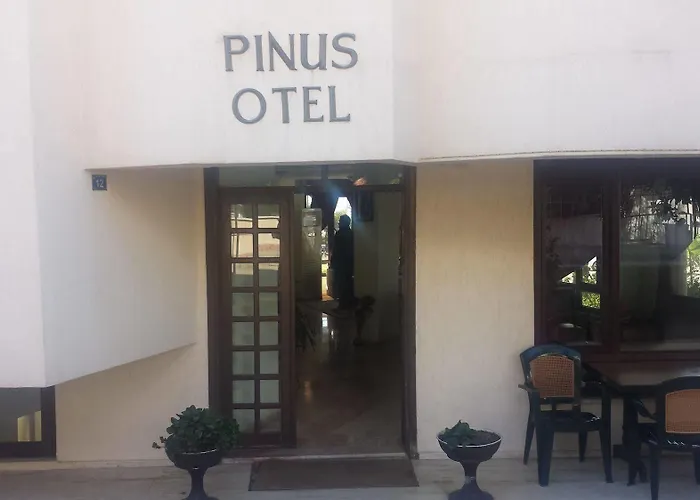 فندق Pinus 3*
