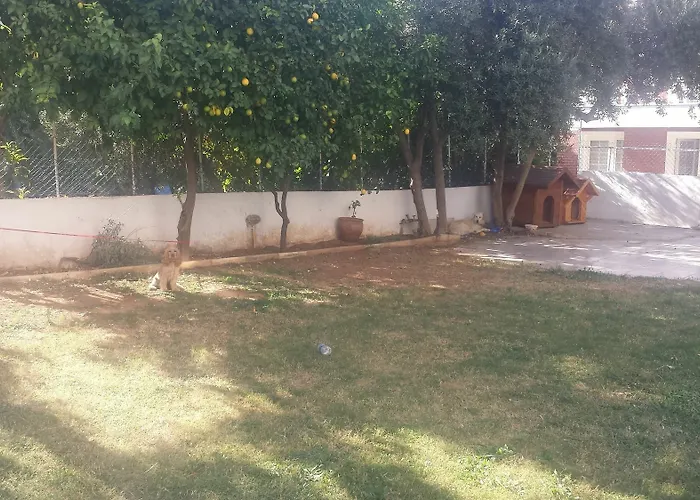 فندق Pinus 3*