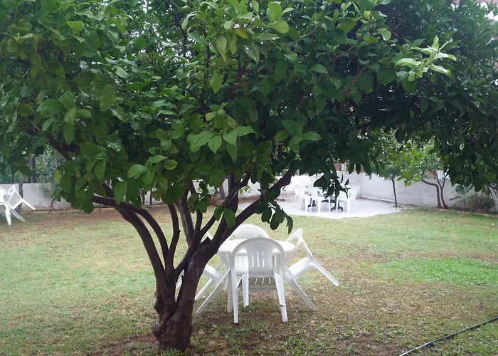 Pinus 3* 安塔利亚